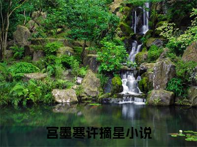 宫墨寒许摘星(宫墨寒许摘星)全文免费阅读无弹窗大结局-宫墨寒许摘星全文无弹窗免费阅读