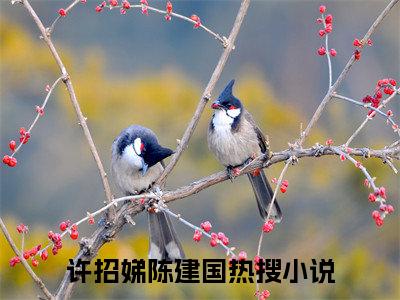 许招娣陈建国小说全文免费阅读（许招娣陈建国）全文免费阅读无弹窗大结局_（许招娣陈建国）许招娣陈建国结局最新章节列表_笔趣阁（许招娣陈建国）