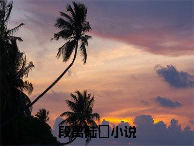 段离陆玦免费正版小说完整版阅读-段离陆玦最新章节在线阅读