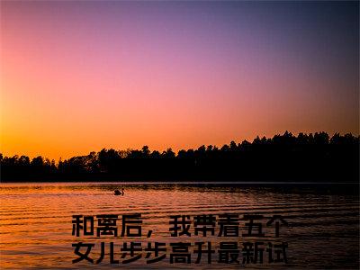 小说林好好(和离后，我带着五个女儿步步高升)免费阅读-小说林好好全文在线赏析
