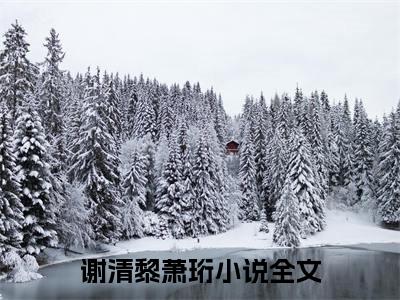 谢清黎萧珩热门小说最新章节免费阅读-完结版全文谢清黎萧珩小说在线阅读