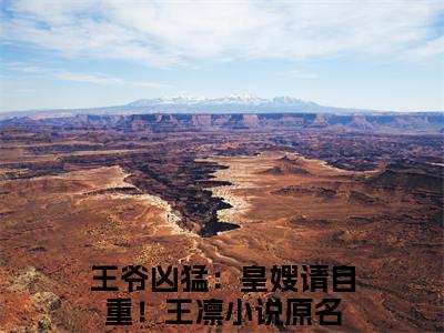 王爷凶猛：皇嫂请自重！王凛全文免费阅读无弹窗大结局_ 王爷凶猛：皇嫂请自重！王凛在线阅读无弹窗