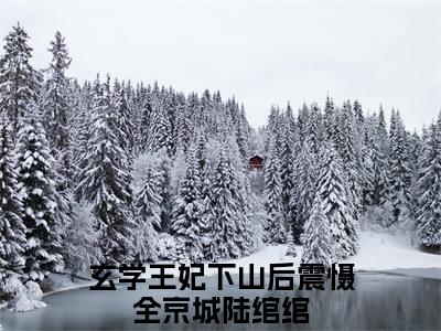 玄学王妃下山后震慑全京城陆绾绾（玄学王妃下山后震慑全京城陆绾绾）全文免费阅读无弹窗大结局小说-玄学王妃下山后震慑全京城陆绾绾最新章节阅读