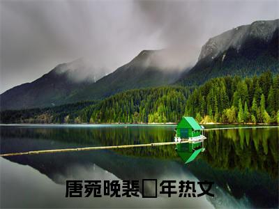 唐菀晚裴璟年全文免费阅读无弹窗-唐菀晚裴璟年小说全文在线赏析_笔趣阁（唐菀晚裴璟年）