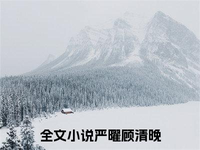 严曜顾清晚小说（灯花落尽）全文完整版免费阅读-灯花落尽全文完整版免费阅读（灯花落尽）