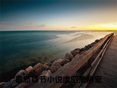 虞昭萧承安小说(虞昭萧承安)_全章节小说完整版阅读（虞昭萧承安）