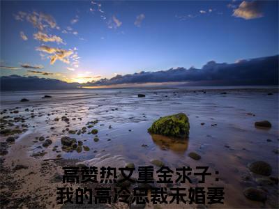 重金求子：我的高冷总裁未婚妻秦霄 全文免费阅读无弹窗大结局-重金求子：我的高冷总裁未婚妻秦霄全文无弹窗免费阅读大结局