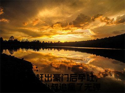 沈婳冷昱(被赶出豪门后孕吐，财阀小叔追疯了)全文在线阅读无弹窗_沈婳冷昱小说全文大结局