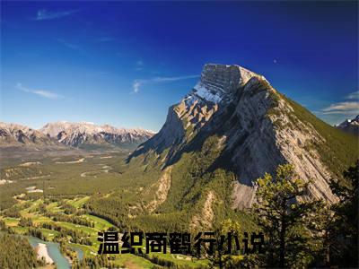 温织商鹤行全文免费阅读-温织商鹤行最新章节小说阅读