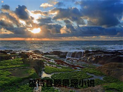 爆款小说《盛诗音顾景琛》主角盛诗音顾景琛全文在线完本阅读