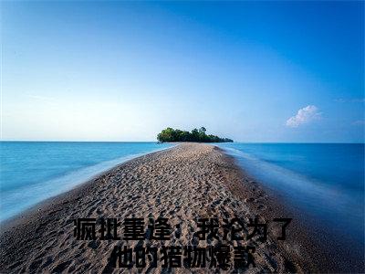 疯批重逢：我沦为了他的猎物（张伟）精彩满分小说-强烈推荐张伟（疯批重逢：我沦为了他的猎物）小说精彩全文阅读