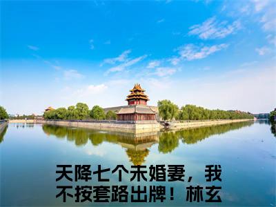 天降七个未婚妻，我不按套路出牌！林玄(天降七个未婚妻，我不按套路出牌！林玄)小说全文无删减版完整版_(天降七个未婚妻，我不按套路出牌！林玄)精选免费小说大结局阅读_笔趣阁
