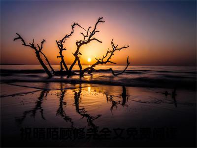 祝晴陌顾修尧（祝晴陌顾修尧 ）全文免费阅读_祝晴陌顾修尧言诺诺,井傅宸 小说最新章节列表笔趣阁