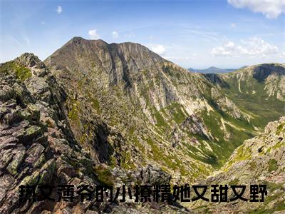 姜知岁薄北言（薄爷的小撩精她又甜又野）热推现言小说-姜知岁薄北言小说在哪里可以看全文