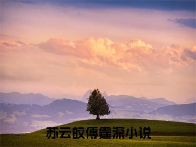 苏云皎傅霆深完整版 苏云皎傅霆深小说全文在线阅读