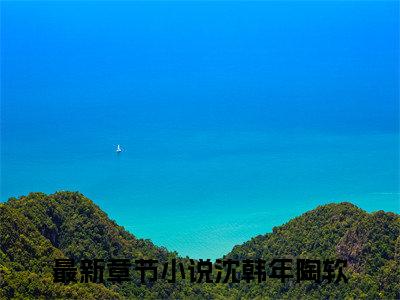 沈韩年陶软抖音新书热门热荐- 沈韩年陶软小说在线观看