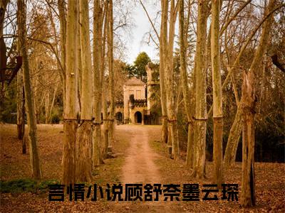 顾舒奈墨云琛小说哪里能看-小说推荐顾舒奈墨云琛精彩章节在线阅读