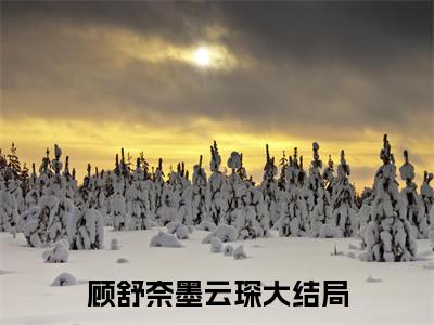 顾舒奈墨云琛全文小说（顾舒奈墨云琛）在线阅读无弹窗大结局_顾舒奈墨云琛全文在线阅读无弹窗