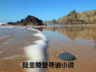 陆金陵楚寻逍（今日起，你我恩情两消，再无瓜葛）全文免费阅读无弹窗大结局_今日起，你我恩情两消，再无瓜葛最新章节列表_笔趣阁（陆金陵楚寻逍）