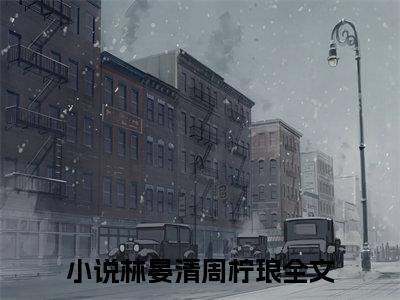 林晏清周柠琅小说全文在线赏析 林晏清周柠琅小说免费阅读全文大结局
