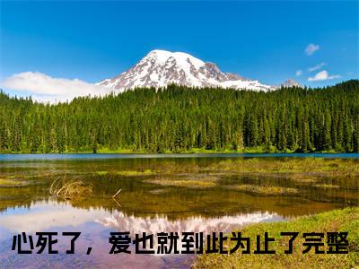 曲安然傅南城（心死了，爱也就到此为止了）全文免费阅读无弹窗大结局_曲安然傅南城小说最新章节列表_笔趣阁