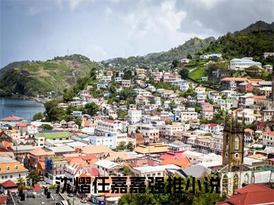 前妻难哄，沈总求娶请排队（沈熠任嘉嘉）全文免费阅读无弹窗大结局_前妻难哄，沈总求娶请排队免费最新章节列表_笔趣阁