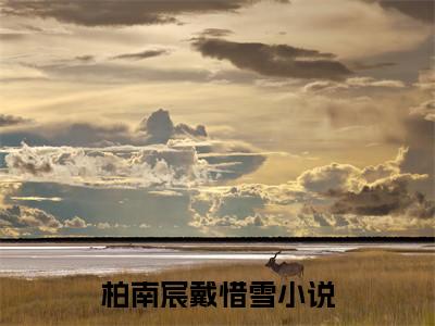 柏南宸戴惜雪小说全文阅读-柏南宸戴惜雪小说全文完整版免费阅读