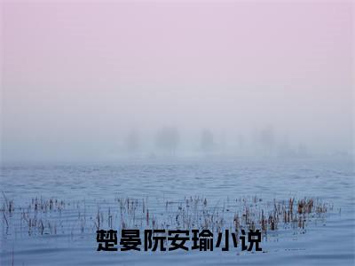 楚晏阮安瑜（楚晏阮安瑜）全文免费阅读无弹窗大结局_楚晏阮安瑜全文免费阅读