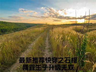 快穿之石榴精靠生子升级无双（快穿之石榴精靠生子升级无双）全文无弹窗阅读-精彩小说快穿之石榴精靠生子升级无双