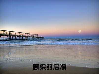 顾染封启凛全文（顾染封启凛免费阅读）全文免费阅读无弹窗大结局_顾染封启凛最新章节列表_笔趣阁（顾染封启凛免费阅读）