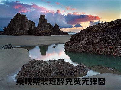 桑晚絮裴瑾辞（桑晚絮裴瑾辞)全文免费阅读无弹窗大结局_桑晚絮裴瑾辞全文免费阅读_笔趣阁（桑晚絮裴瑾辞）