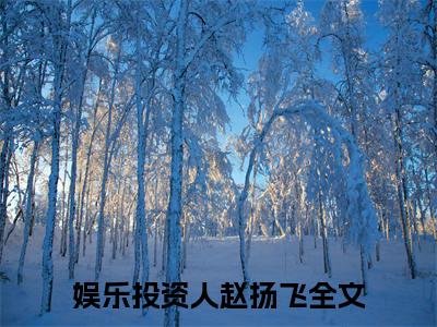 娱乐投资人赵扬飞全本资源免费阅读结局无删节-娱乐投资人赵扬飞小说全文阅读无弹窗