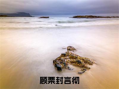 顾栗封言彻（顾栗封言彻）完整版全文全章节阅读顾栗封言彻
