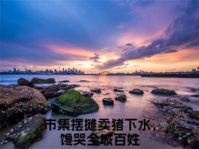 市集摆摊卖猪下水，馋哭全城百姓最后结局如何，闻真一沈寒星强推全文阅读无弹窗