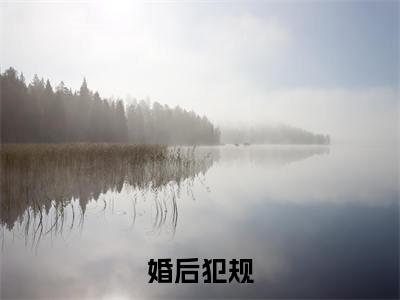 陆晏温晚(婚后犯规小说)最新在线阅读_婚后犯规小说免费阅读