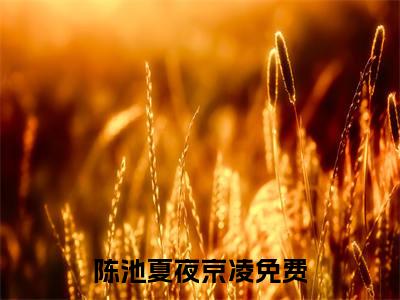 高赞小说（陈池夏夜京凌小说免费阅读）完结阅读，陈池夏夜京凌在线阅读