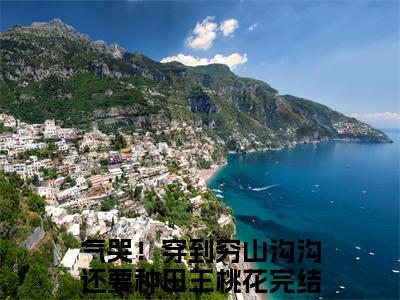 主角为气哭！穿到穷山沟沟还要种田王桃花的小说-气哭！穿到穷山沟沟还要种田王桃花小说全文免费阅读