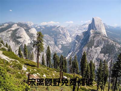 一穷二白穿七零，嫁个糙汉养崽崽小说在线阅读-宋离顾野小说最新章节阅读