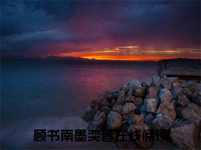 顾书南墨奕晋（顾书南墨奕晋）全文免费阅读大结局-顾书南墨奕晋最新章节免费阅读大结局