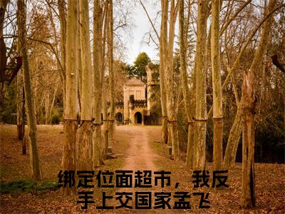 绑定位面超市，我反手上交国家孟飞小说免费阅读（绑定位面超市，我反手上交国家孟飞）全文免费阅读大结局-（绑定位面超市，我反手上交国家孟飞小说免费阅读）好书推荐