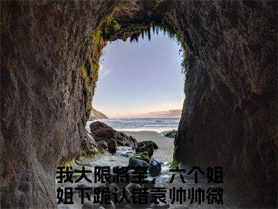 我大限将至，六个姐姐下跪认错袁帅帅（我大限将至，六个姐姐下跪认错袁帅帅）全文免费阅读无弹窗大结局_（我大限将至，六个姐姐下跪认错袁帅帅）我大限将至，六个姐姐下跪认错袁帅帅最新章节列表_笔趣阁