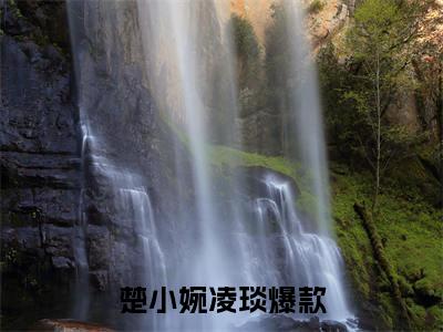 楚小婉凌琰抖音新书热荐楚小婉凌琰-楚小婉凌琰最新小说全文阅读