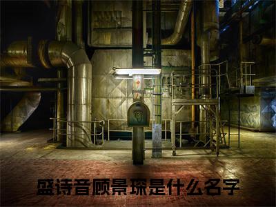 盛诗音顾景琛（盛诗音顾景琛）小说全文在线阅读_盛诗音顾景琛最新章节在线阅读_笔趣阁