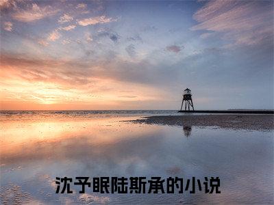 沈予眠陆斯承完整版最新小说大结局-沈予眠陆斯承无删版阅读