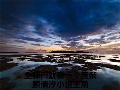 全师门就我一个废柴顾清汐小说阅读 全师门就我一个废柴顾清汐全文免费无广告