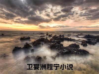 卫宴洲程宁（卫宴洲程宁）全文免费阅读无弹窗大结局_(卫宴洲程宁小说免费阅读)_笔趣阁