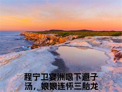 喝下避子汤，娘娘连怀三胎龙种（程宁卫宴洲）全文无弹窗阅读-喝下避子汤，娘娘连怀三胎龙种（程宁卫宴洲）最新章节完整版阅读