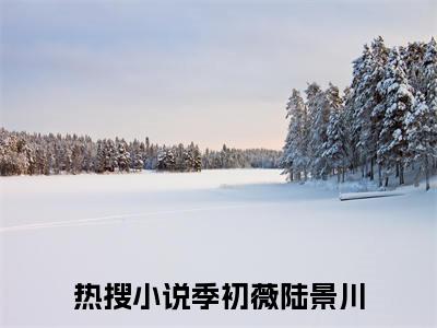 季初薇陆景川（季初薇陆景川）小说全文免费阅读无弹窗_（季初薇陆景川）季初薇陆景川小说全文免费阅读最新章节列表笔趣阁（季初薇陆景川）