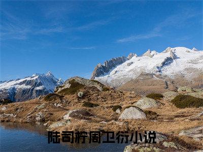 陆司柠周卫衍全文免费阅读_（陆司柠周卫衍免费阅读无弹窗）陆司柠周卫衍最新章节列表笔趣阁（陆司柠周卫衍）