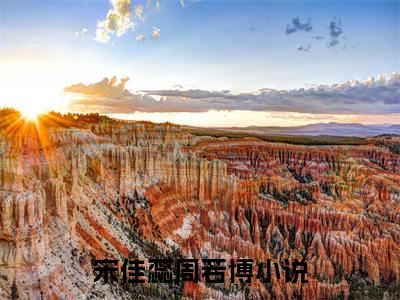 宋佳蕊周若博免费阅读结局宋佳蕊周若博无弹窗全本免费阅读